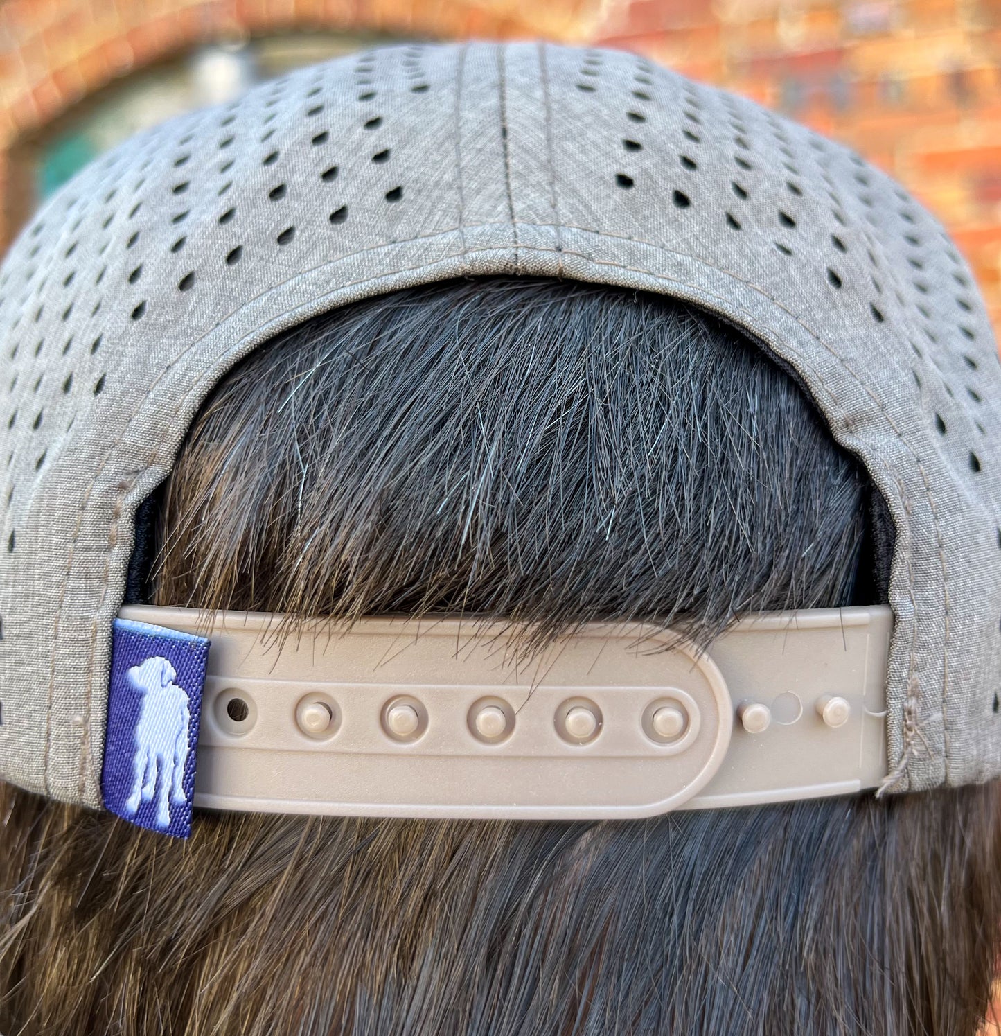 SC State Stamp Al Hat