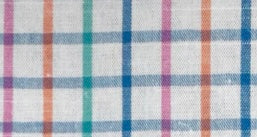 Beach Ball Check Button Down
