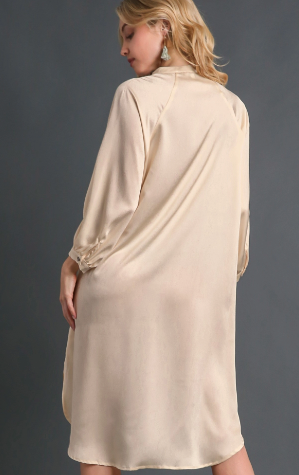 Satin Button Down Dress