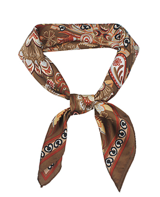 Bohemian Paisley Border Scarf