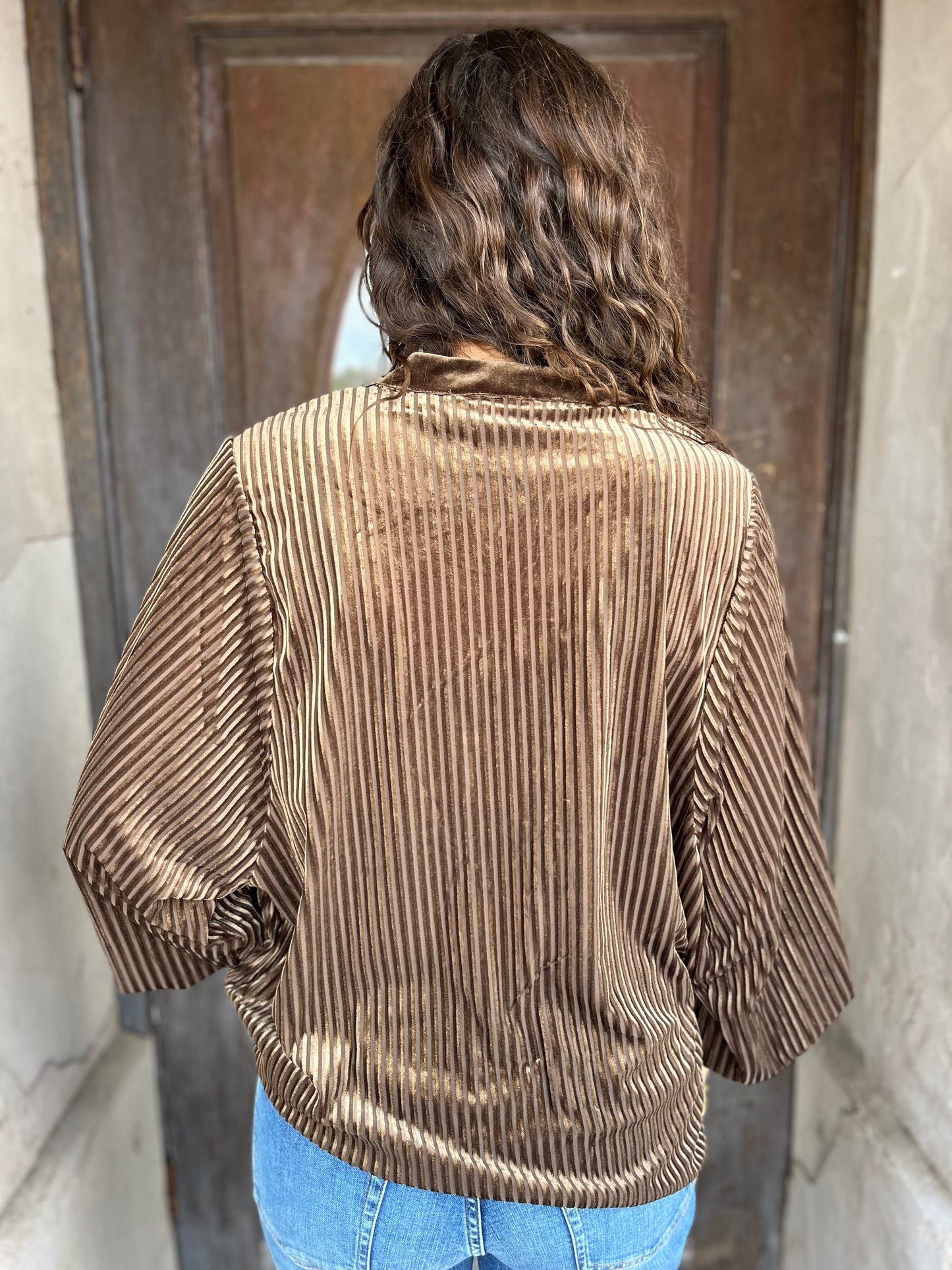 Velvet Striped Blouse