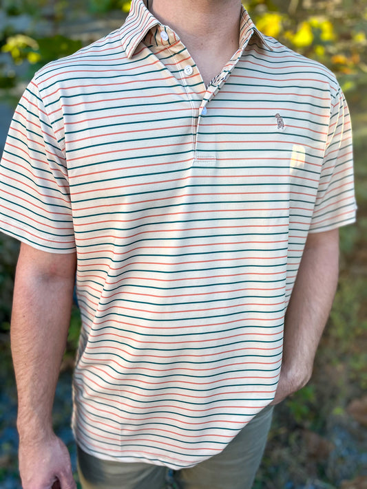 Pique Sporting Clay Stripe Polo