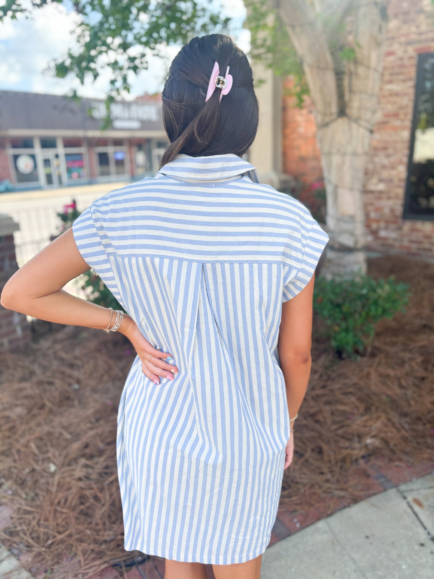 Blue Stripe Button Down Mini Dress