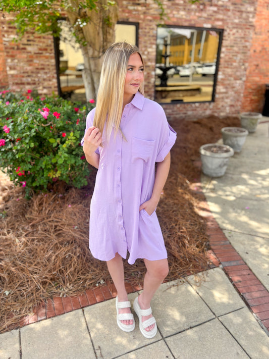 Button Down Mini Dress