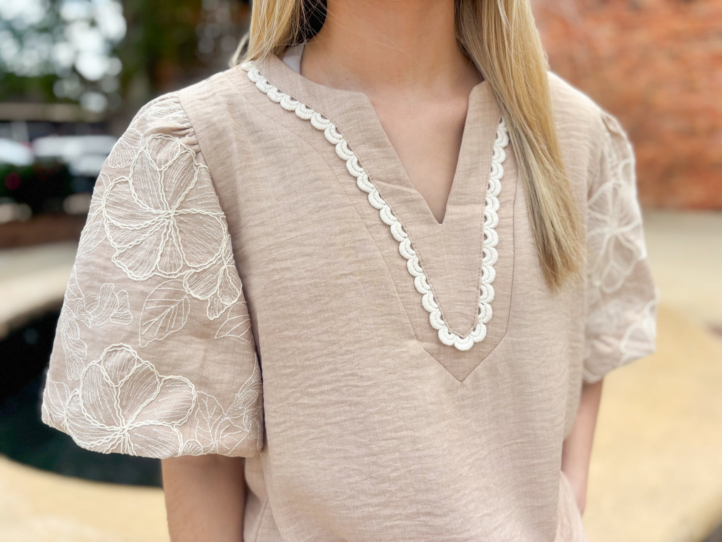 Embroidered Puff Sleeve Top