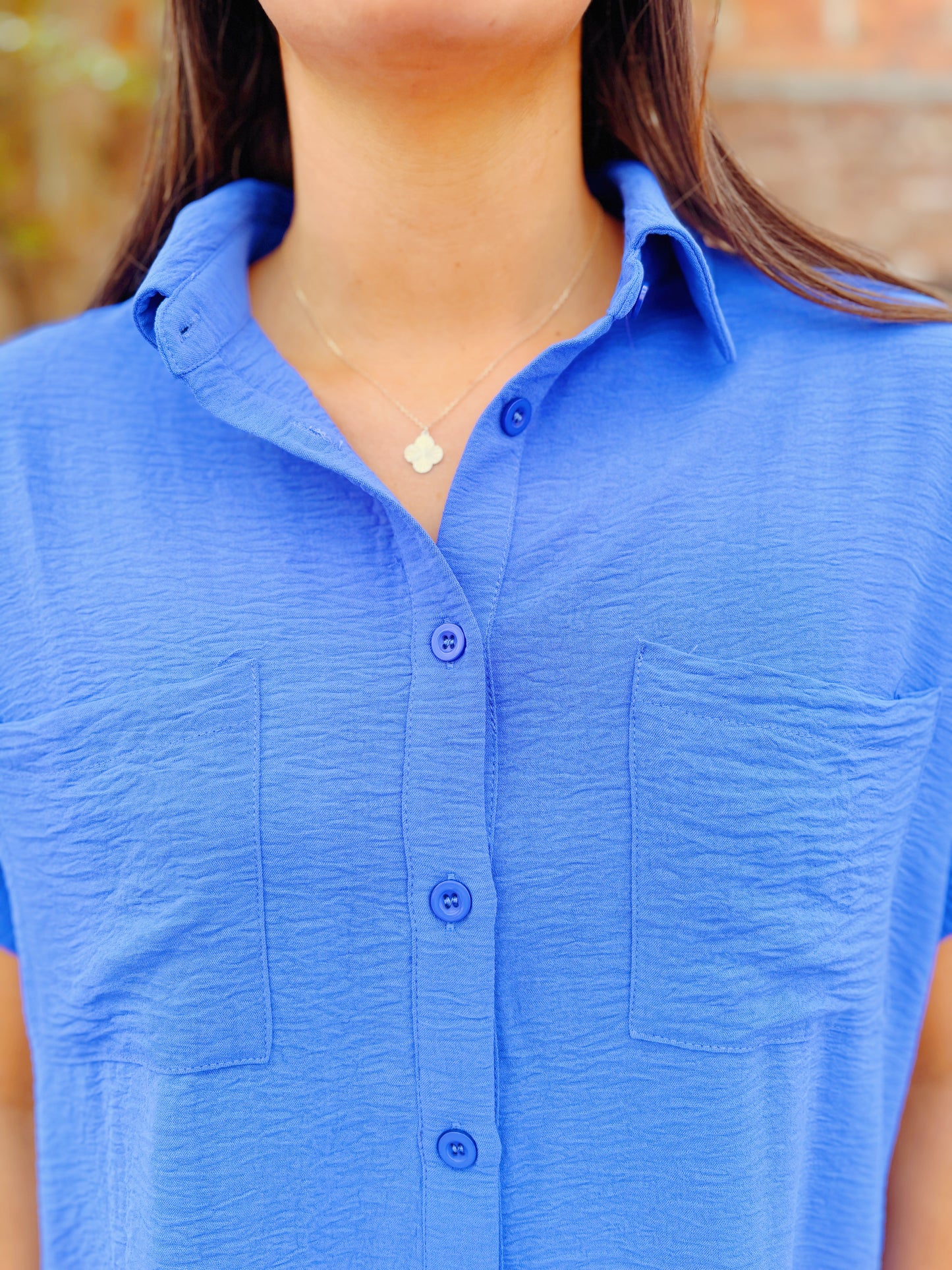 Button Down Mini Dress