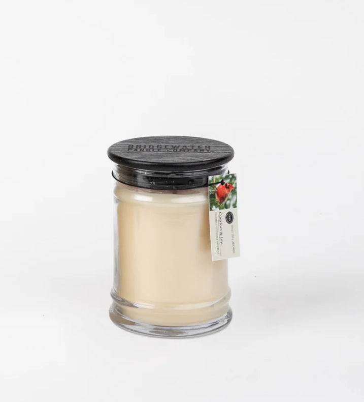 18 oz Comfort & Joy Jar Candle