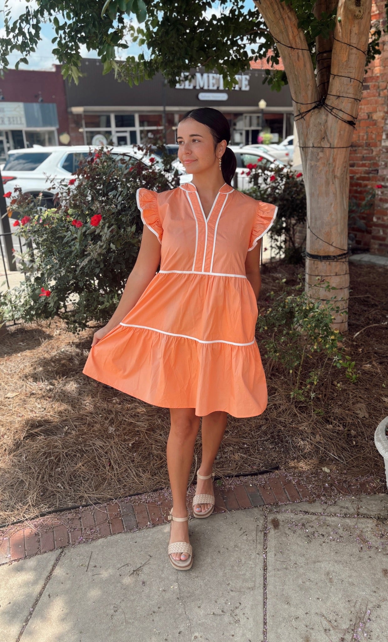Ruffle Sleeve Tiered Dress