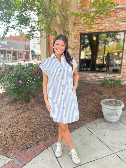 Blue Stripe Button Down Mini Dress
