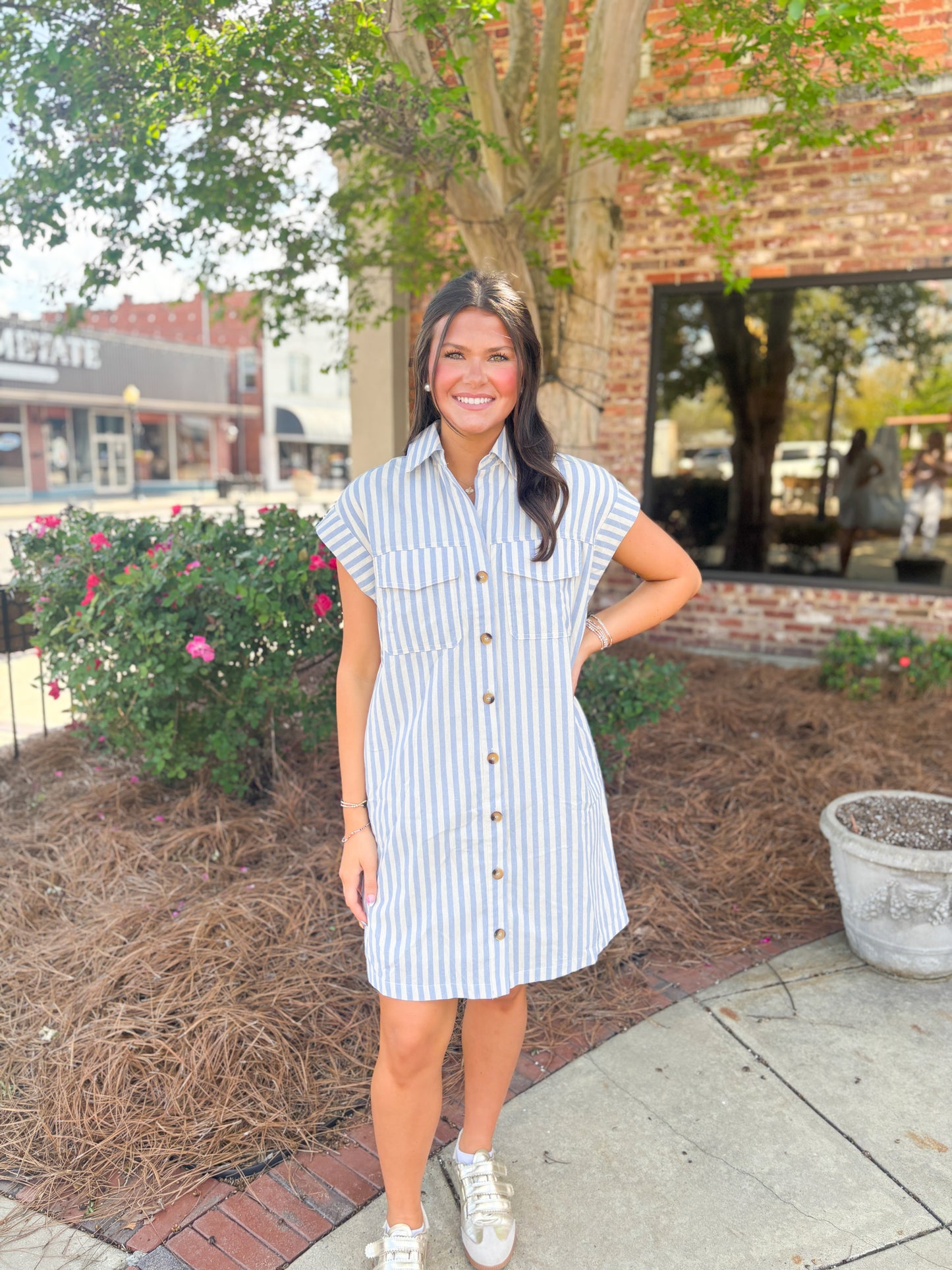 Blue Stripe Button Down Mini Dress