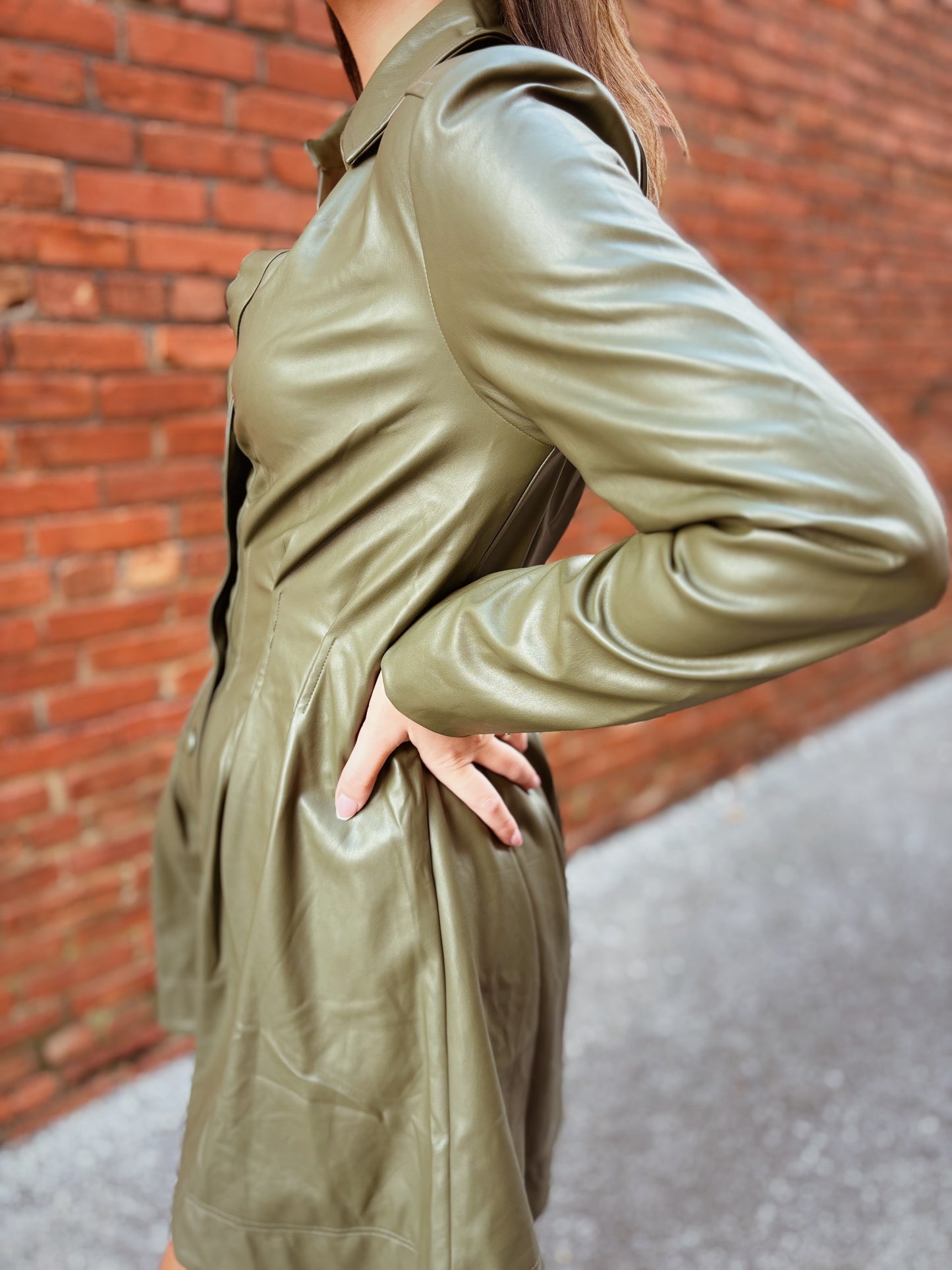 Long Sleeve Cinched Waist Dress