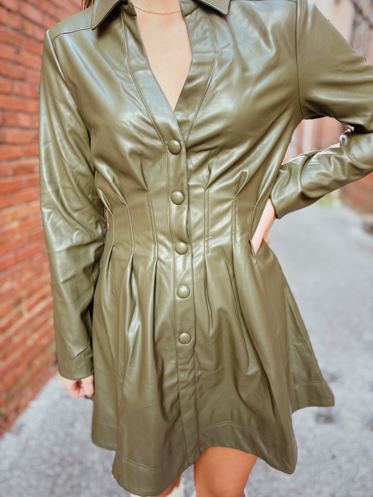 Long Sleeve Cinched Waist Dress