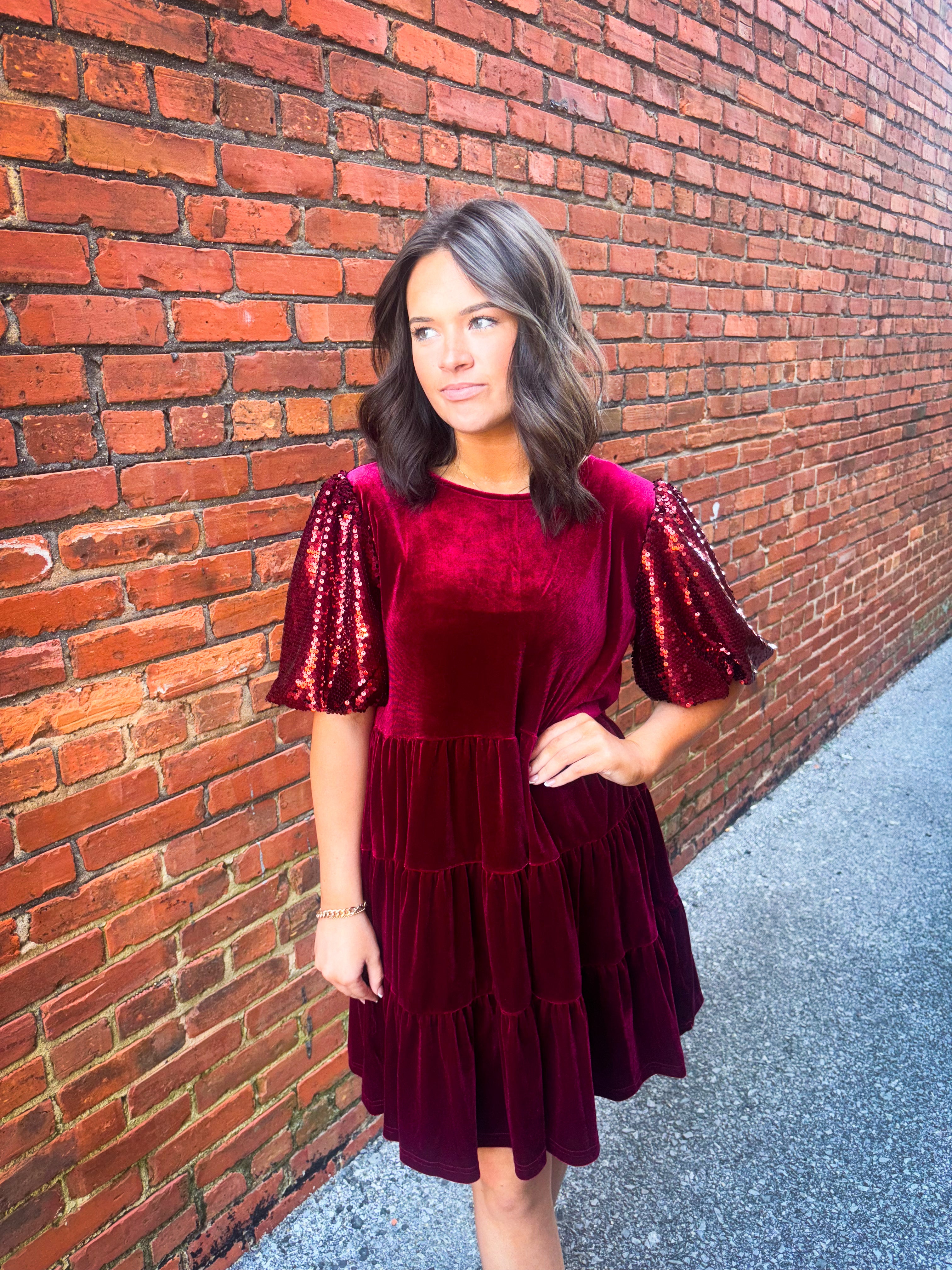 Burgundy Velvet Dress