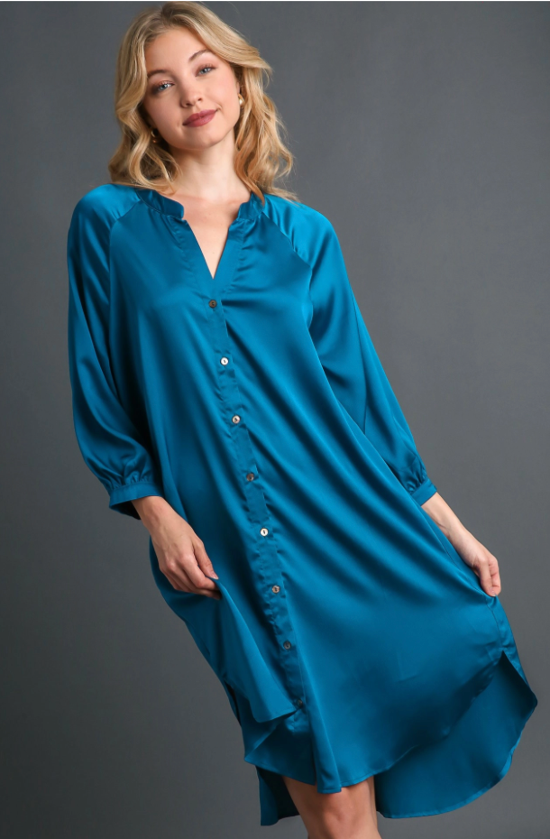 Satin Button Down Dress