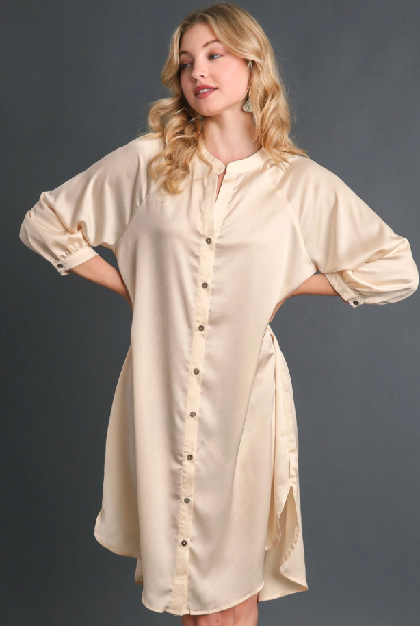 Satin Button Down Dress