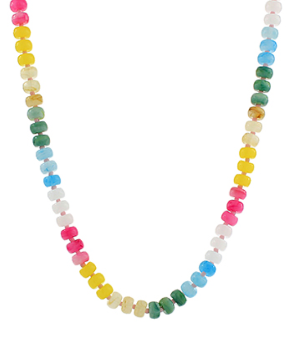 Multi Colored Beaded Necklace