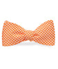 Fenwick Carolina Cotton Bow Tie